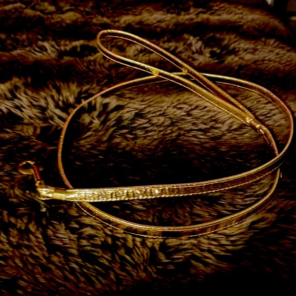 Puppia Gold Sparkle leash collar harness set. Furrylicious! Excellent condition. - Picture 8 of 12